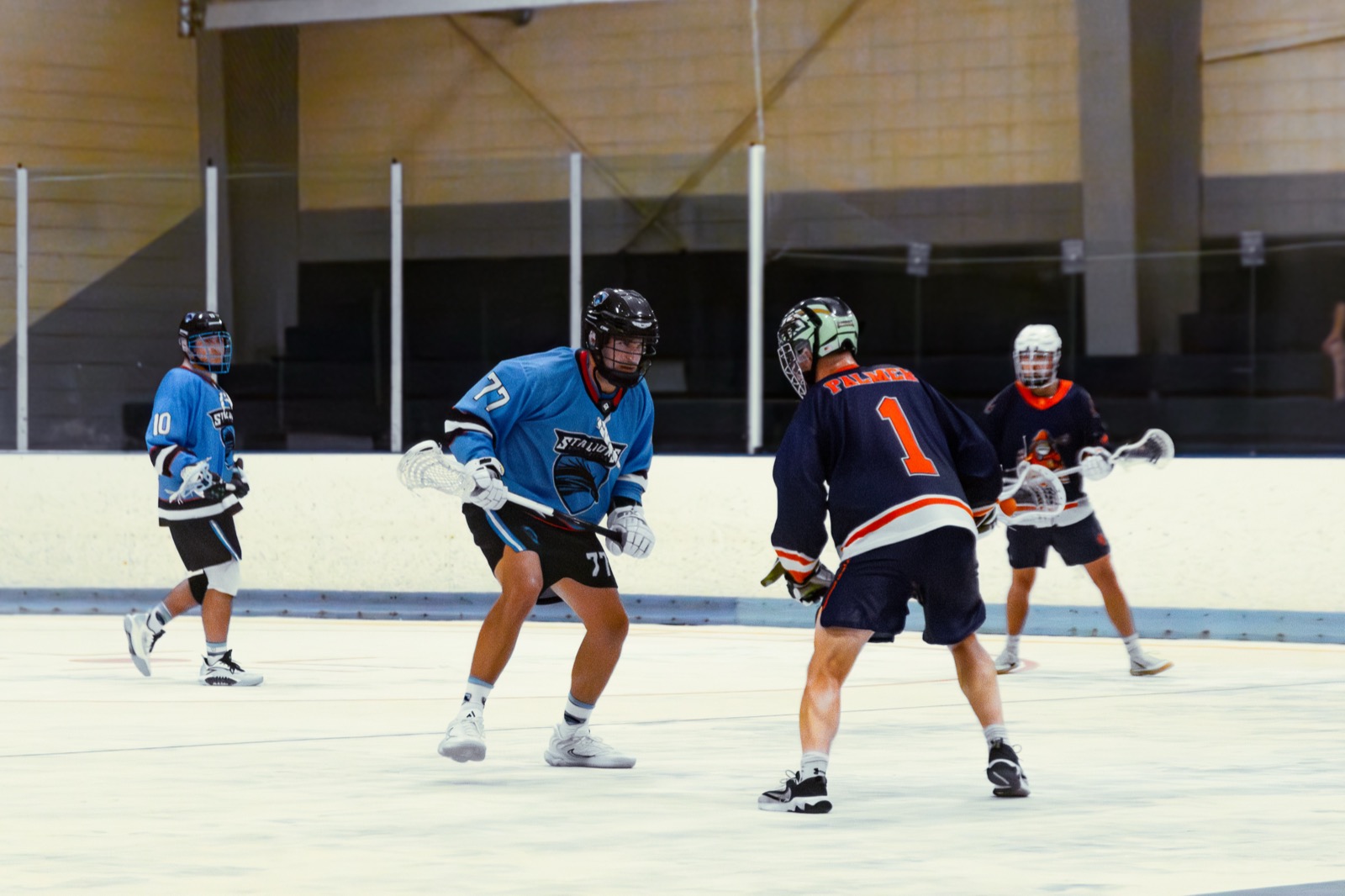 Stallions Box Lacrosse action